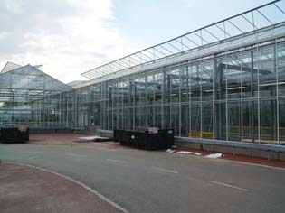 nursery