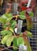 nepenthes